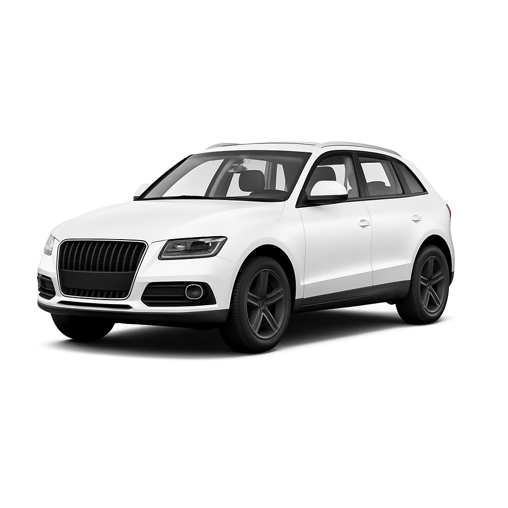 Audi Q5 SQ5 Type 8R Mileage Blocker